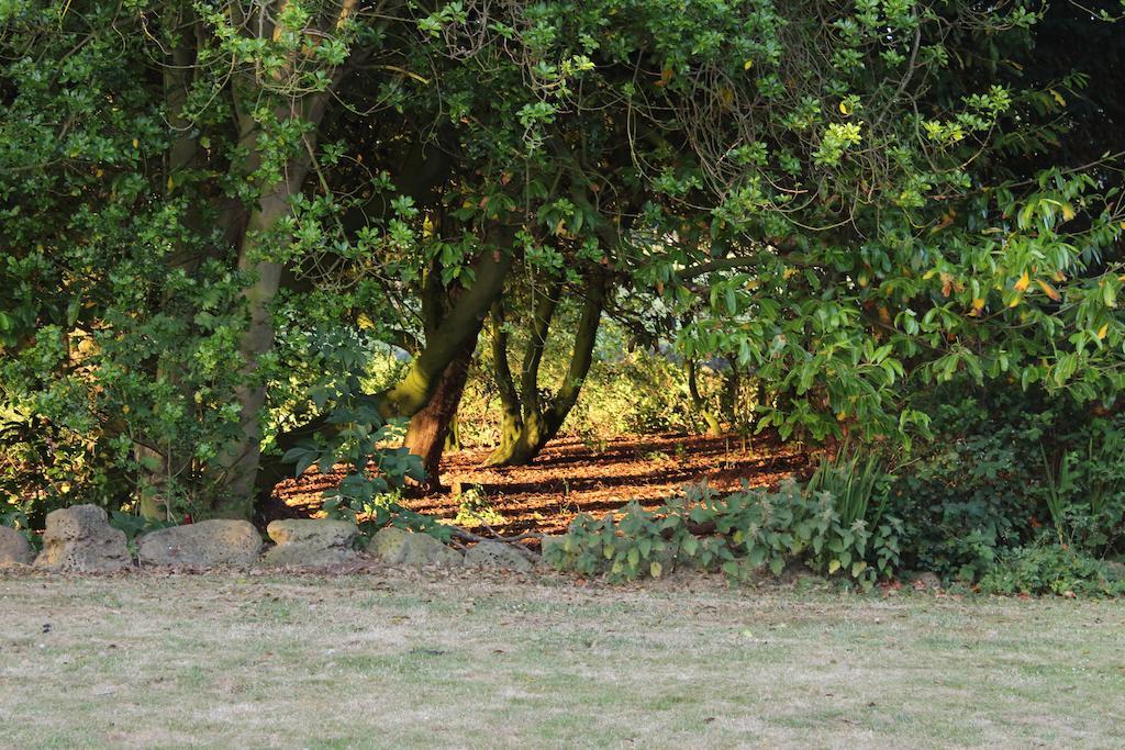 Stamford Farmhouse Bed & Breakfast Alnwick Room photo
